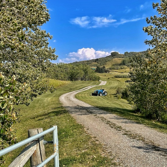 Meet your Posher, James - Picture 3 of 5